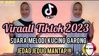 DJ Suara Melodi Kucing Garong Viral Tiktok Jungle Dutch Full Bass Terbaru 2023 - DJ BPD