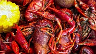 Amazing STEAMED CRAWFISH from LOOSE Caboose BBQ, Old Town SPRING TEXAS - thewisn.com Video