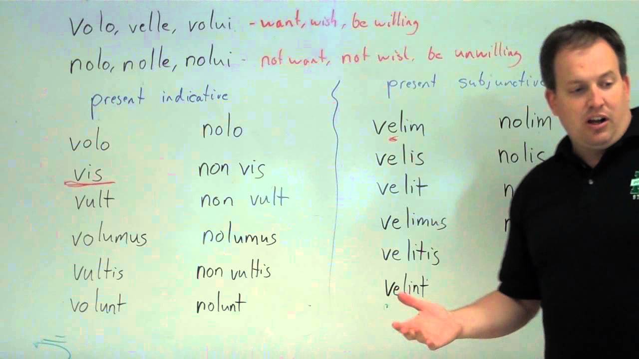 Volo Velle Chart