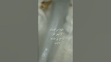 تلاوه من سوره الطارق الشيخ احمد خضر الطرابلسي@hassanzaidi-es8qw