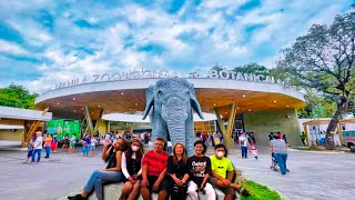 Manila Zoo, Family Bonding