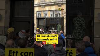 Cannabiskafé öppnade upp – mitt i Oslo