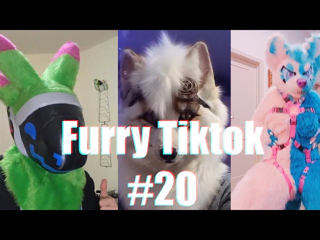 furrytiktok #fypage #flop #foryou #fyyyyyyyyyyyyyyyy #🆘️🆘️🆘️🆘️🆘️