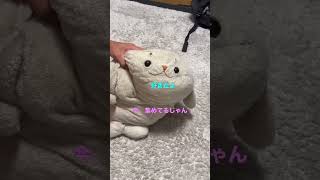 ポイ捨て？しろたん