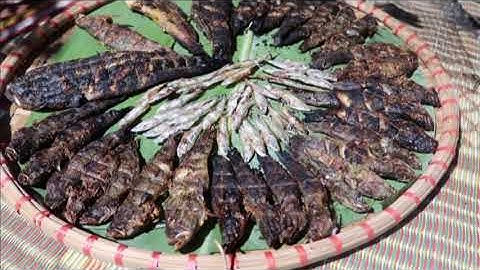 Hồ Núi Cốc và đảo Hoa | Hồ Núi Cốc | | Du lịch Hồ Núi Cốc | #HonuiCoc