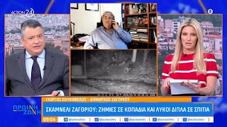 Δήμαρχος Ζαγορίου: Ζημιές σε κοπάδια και λύκοι δίπλα σε σπίτια