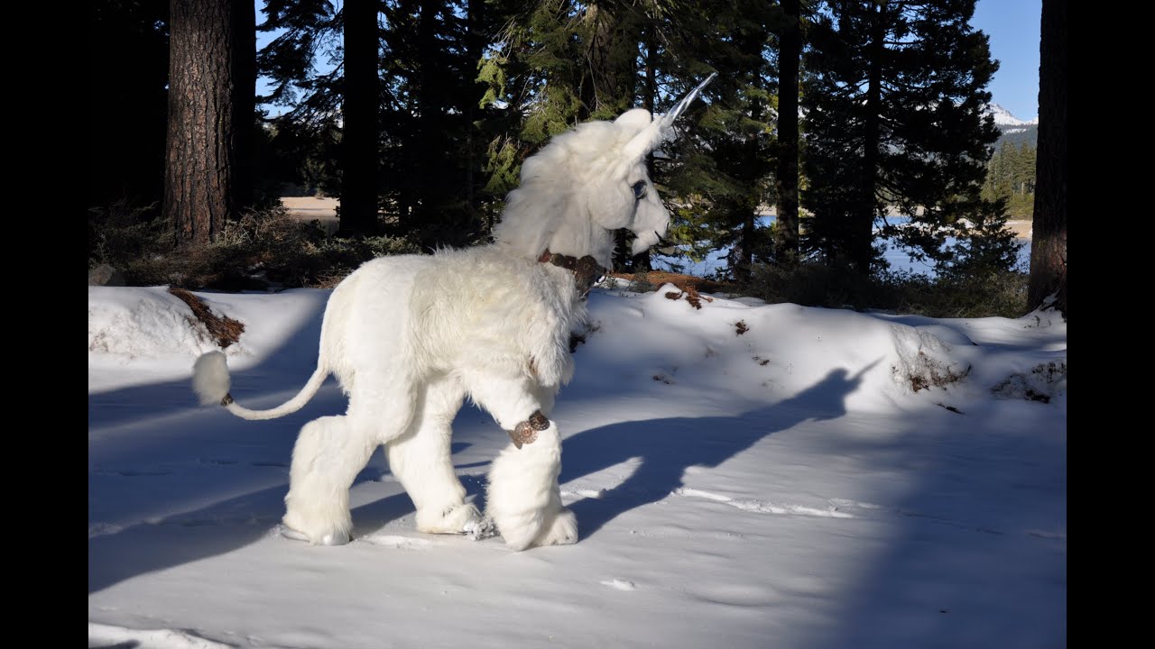 Unicorn in the snow - YouTube