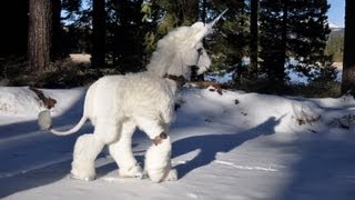 Unicorn in the snow