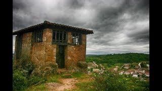 RABANERA DEL PINAR-2017