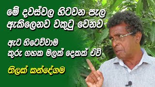 මේ දවස් වල හිටවන එළවලු පැල වලට මොකද වෙන්නේ ?