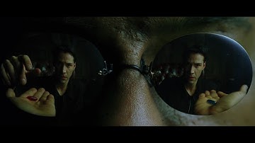 The Matrix - White Rabbit