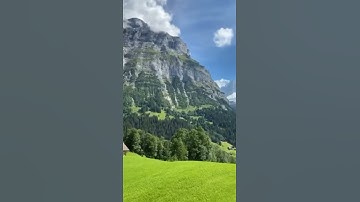 قال قائل منهم لا تقتلوا يوسف تلاوة خاشعة من روائع  عبدالباسط عبدالصمد رحمه الله /روائع القراءات