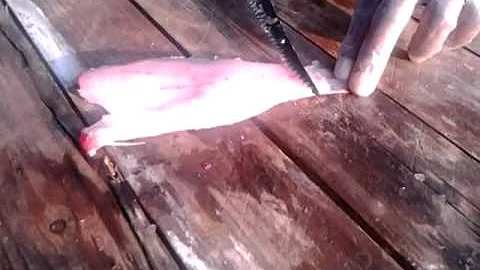 How to fillet a fish with Ronald Ellis