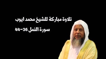 تلاوة قديمة وجميلة للشيخ محمد ايوب رحمه الله من سورة النمل