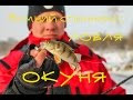 Зимний спиннинг: ловля окуня
