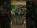 ANIMAL RESCUE HATE