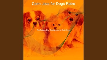 Groovy Backdrops for Calming Your Dog