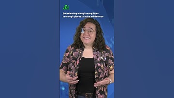 Can drones eradicate malaria? #shorts #science #SciShow