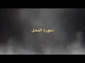 سورة النحل كاملة رمضان ١٤٤٦ هـ | الشيخ مشعل المطر