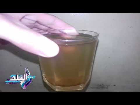 صدى البلد شاهد مياه شرب القليوبية غير صالحة للإستهلاك الحيوانى والمسؤلين في غيبوبة