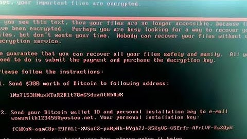 Global cyber attack hits Australian chocolate factory