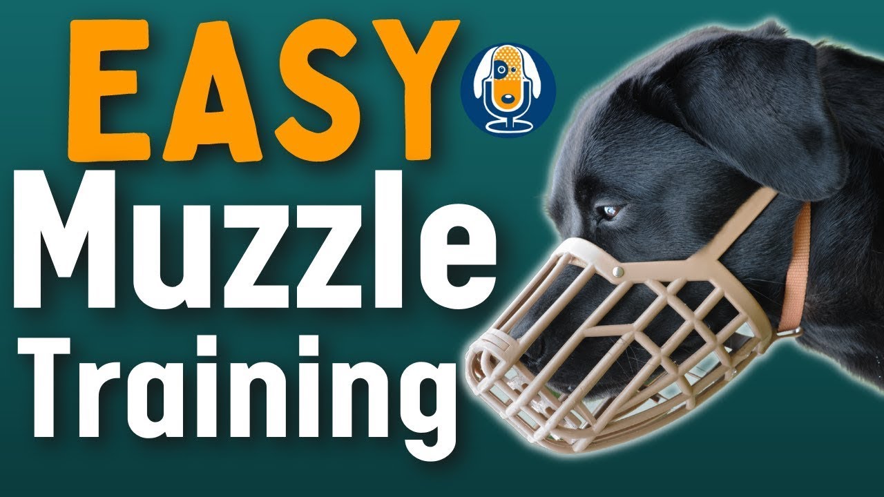 how long can a muzzle stay on a dog