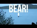 ALGONQUIN PARK CAMPING TRIP - DAY 3 - BEAR!