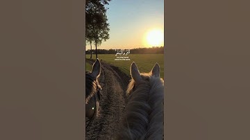 سورة الأنعام || القارئ طارق محمد.