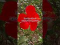حافط على نور روحك المغرب شعر ترند تصميمي حالات حب ستوريات صباح الخير عام هجري سعيد غزة حافط على نور روحك المغرب شعر ترند تصميمي حالات حب ستوريات صباح الخير عام هجري سعيد غزة