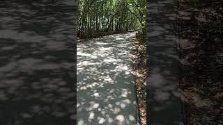 Bmw M5Cs Behind The Scenes Photoshoot