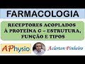 Farmacodinâmica - Receptores acoplados à proteína G - Estrutura, função e tipos