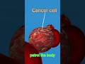 Your body produces cancer cells everyday and also kills it. #animation #3danimation #cancercells