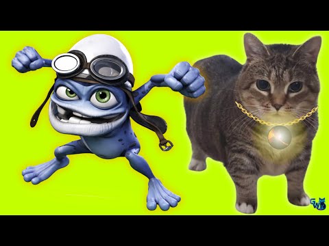 OIIAOIIA CAT & CRAZY FROG -Spinning Cat (TECHNO - PHONK REMIX) Cat Brainrot Video - VOLCANO