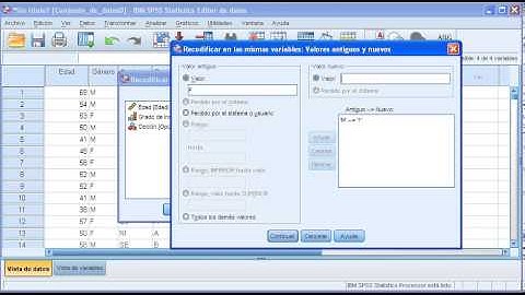 SPSS recodificar en las mismas variables