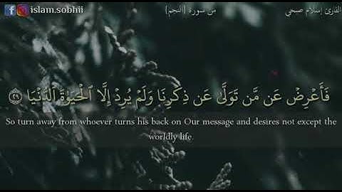 تلاوة خاشعة من سورة النجم بصوت القارئ إسلام صبحي/حالات واتس اب