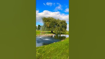 ✨اسلام صبحي ❤️😍تلاوه هادئه مريحه 😌للقلب ❤️✨