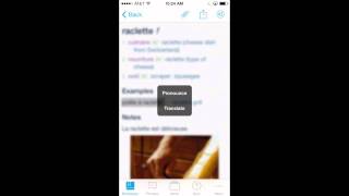 French English Dictionary + for iPhone & iPad by VidaLingua screenshot 5