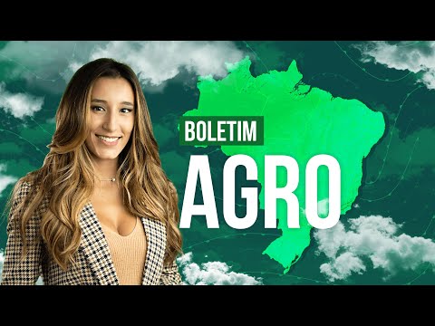 Boletim Agro - Alta umidade continua impedindo colheita de citrus em SP