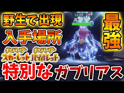 ポケモンsv 確定で出現する最強ポケモン ガブリアス の入手方法 テラスタル スカーレット バイオレット 攻略 実況 アプデ 環境ポケモン 対戦 ランクマ フカマル ガバイト カイリュー Youtube