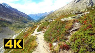 Lotschental – Wonderfull trail in the Swiss Alps