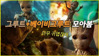 그루트가 그냥 좋아서 만든 그루트 모음집♥ 가오갤3 개봉기념! │ 마블 Marvel │ 영화명장면 │