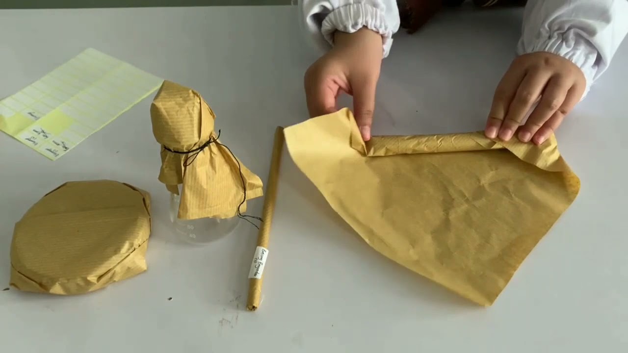 Praktikum Mikrobiologi - Teknik Sterilisasi Alat