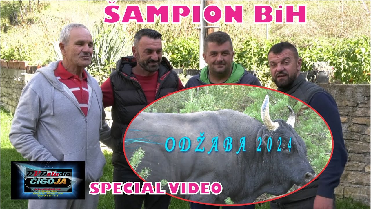 - ODZABA ŠAMPION BiH, SPREMAN ZA PUTALJA KOALICIJE LUKOVAC