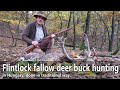 Flintlock fallow deer hunt in hungary