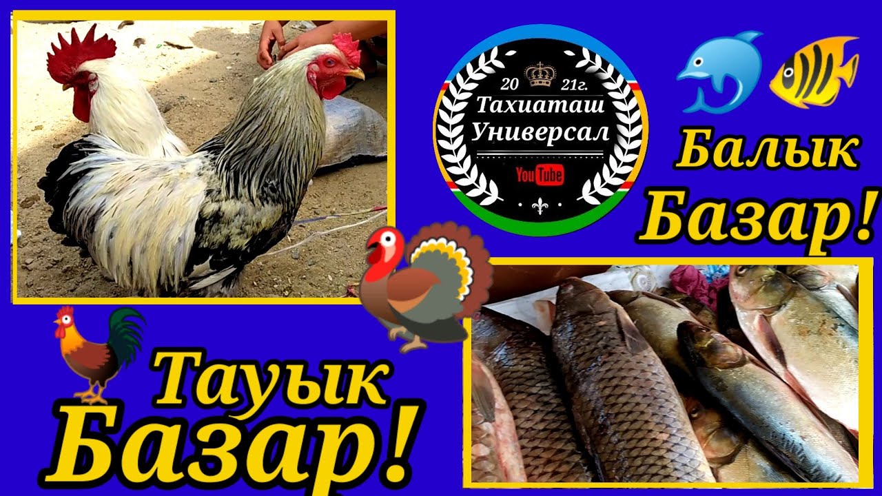 🦃ТАУЫК БАЗАР🐓🐠БАЛЫК БАЗАР🐬#тахиаташ#каракалпакистан#узбекистан# ...