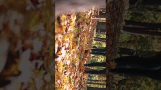 We Everyting Ended (Preview video) #music #viralvideo #fyp #parati