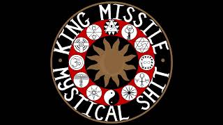 King Missile - She Didnt Want