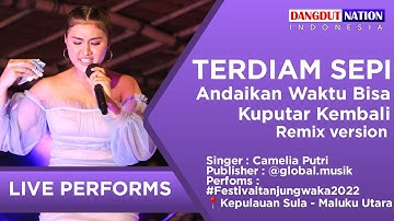 Pertama Kali Dirilis! TERDIAM SEPI (REMIX VERSION) - Camelia Putri