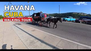 Havana Cuba 🇨🇺 Walking Tour | Streets of Old Havana