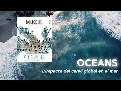 Vídeo: Què és la bioacumulació, posa un exemple?